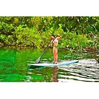 Private Tour: Stand Up Paddleboarding and Snorkeling in Tulum