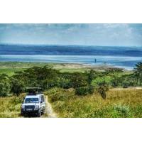 private tour of lake nakuru national park with optional boat ride from ...