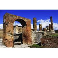 Private Tour: Pompeii Rail Tour from Sorrento with Family Tour Option