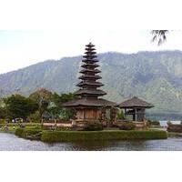 Private Bedugul Village and Tanah Lot Chartered Car