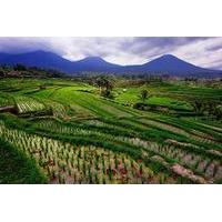 private full day bedugul village and jatiluwih rice fields tour from b ...