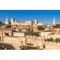 Private Tour: Avignon Half-Day Trip from Marseille