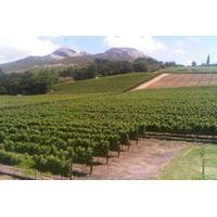 Private Tour: The Cape Winelands, Stellenbosch and Franschhoek from Cape Town