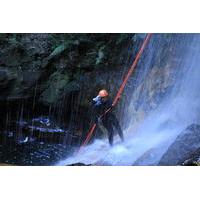 Private Blue Mountains Abseiling and Canyoning Day Trip from Sydney