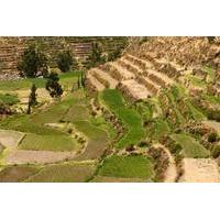 Private Tour: Arequipa Countryside Tour Including Sabandia Mill and Founder\'s Mansion