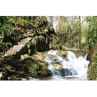 Private Tour: Amalfi Valle delle Ferriere Natural Reserve Walking Tour