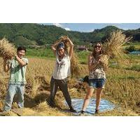 private tour 2 day authentic hill tribes tour and homestay from chiang ...