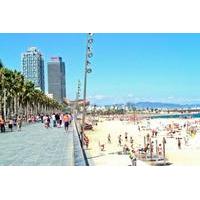 Private Full Day Walking City Tour in Barcelona