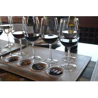Private Tour: Undurraga Vineyard Experience with Premium Wine Tasting