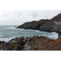 private mizen head tour from killarney