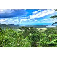 Private Day Tour from Cairns Including Daintree Rainforest National Park, Cape Tribulation and Mossman Gorge