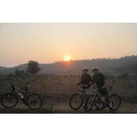 Private Tour: Cycling in Rajasthan\'s Villages with Lunch at the Grand Palace