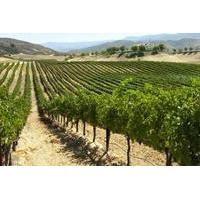 Private Napa and Sonoma Wine Tasting Tour from San Francisco