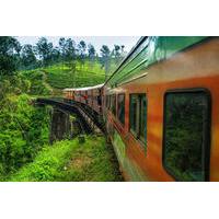 Private Day Trip: Nuwara Eliya from Kandy by Train