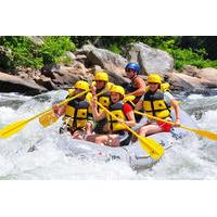 private combo tour whitewater rafting and canopy