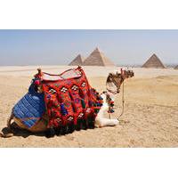 Private-Day tour to Giza Pyramids, Alabaster Mosque and Hanging Church From Cairo