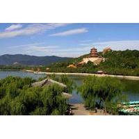 private day tour summer palace beijing zoo lama temple and hutong