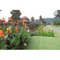 Private Ubud Tour