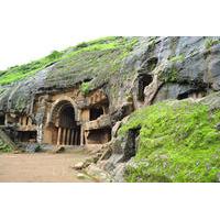 Private Full-Day Excursion to Karla and Bhaja Caves from Mumbai