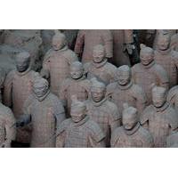 private xian day tour with terracotta warriors and horses and big wild ...