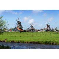 Private Excursion to Zaanse Schans, Edam and Volendam