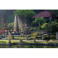 Private Full-Day Tour: Sparkling Bali