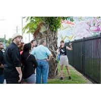Private Wynwood Street Art and Gallery Tour