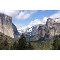 Private Tour to Yosemite National Park from San Francisco