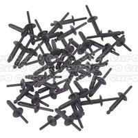 pr002 plastic rivets 63 x 252mm pack of 50