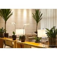 PROMENADE GOLDEN FLA