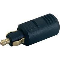 ProCar Standard plug 8 A