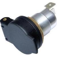 ProCar Standard socket