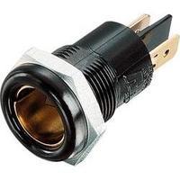 procar standard socket