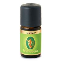 primavera tea tree organic essential oil 10ml 10ml