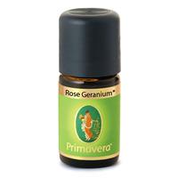 Primavera Rose Geranium* Demeter/Organic Essential Oil 10ml 10ml