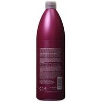 Proyou Repair Shampoo 1000 ml