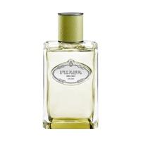 Prada Infusion de vétiver Eau de Parfum (100ml)