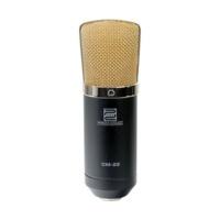 Pronomic CM-22