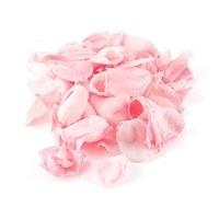 preserved natural rose petals pastel pink