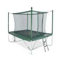 pro line 10ft rectangular green trampoline with safety net and ladder