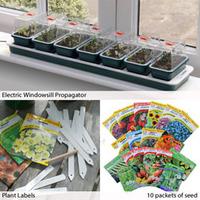 Premium Seed Starter Kits - Gift - 1 x Premium Flower Seed Kit