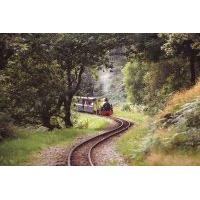 Private Hire of Eskdale Belle or The La\'aL Ratty Coach for Two