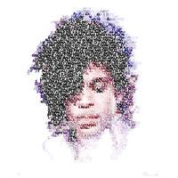 Prince By Mike Edwards