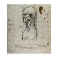 Proportions of the Human Head, 1490 By Leonardo da Vinci