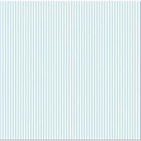 Printed Single-Sided Cardstock 12X12 244627