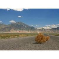 Professional Mailing Sending Let...