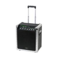 Pronomic PPA10M