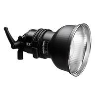 profoto acuted4 head 250w