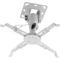 projector ceiling mount tiltable rotatable max distance to floorceilin ...