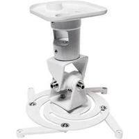 Projector ceiling mount Tiltable, Rotatable Max. distance to floor/ceiling: 22 cm LogiLink BP0003 White